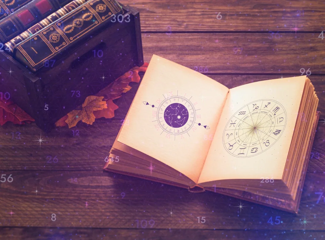 Vedic Astrologer Singapore